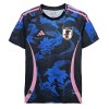 Camiseta de fútbol Japón Dragon Special 2024 - Hombre